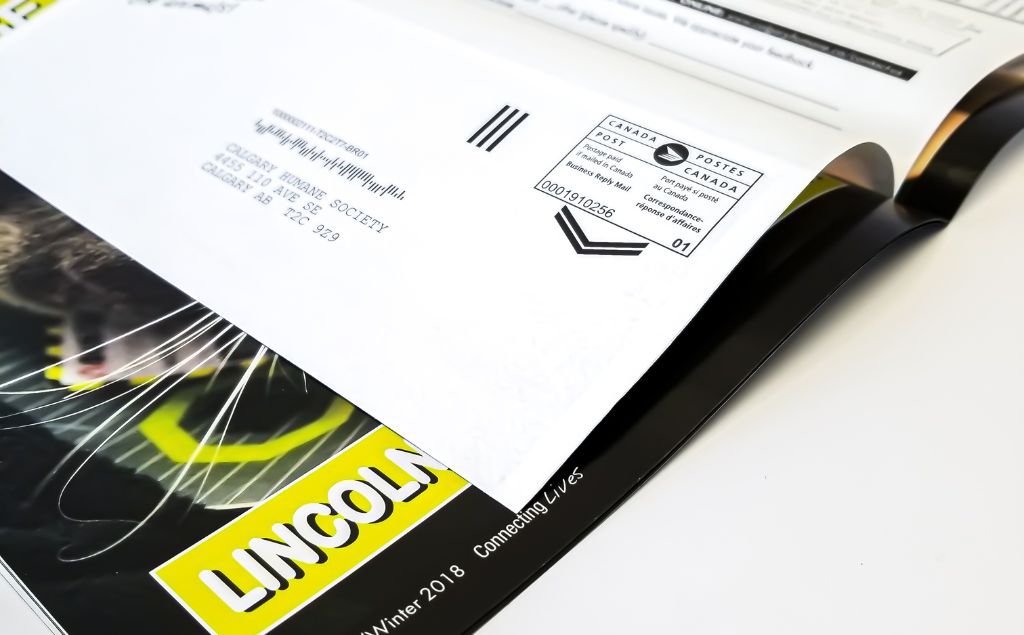 Cut Through the Clutter: The Power of Direct Mail